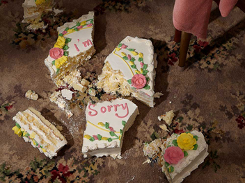 Jasmine Poole and Chris Sewell - I am Sorry - photograph of smashed cake