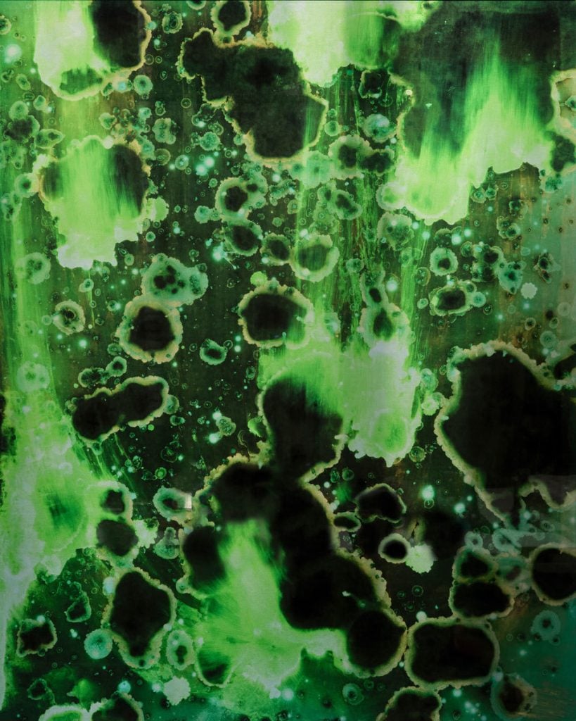 Conversations with a Rockpool