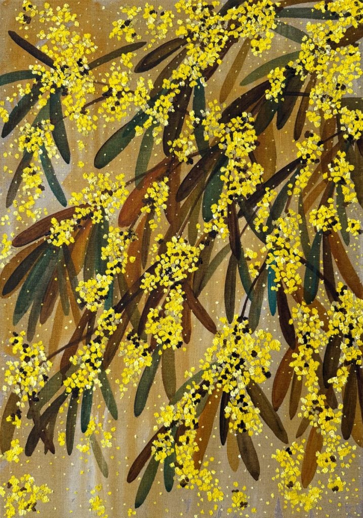 Golden Wattle, Ripe with Hope