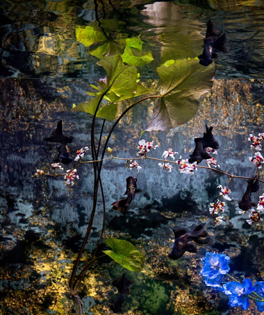 Nāga’s Lanterns โคมไฟของนาค