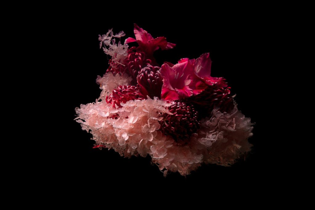 Pink Sea