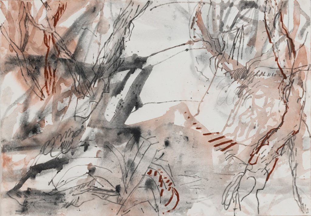 Natural Habitat IV (Pinjar Series)