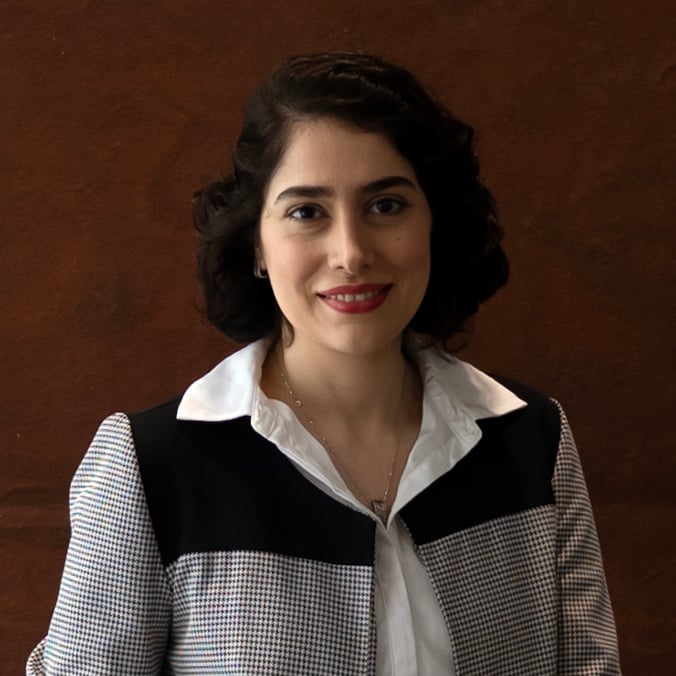 Financila Analyst, Heidi Hosseini, standing inside the gallery in front on a large orange Andre de Vanny painting.
