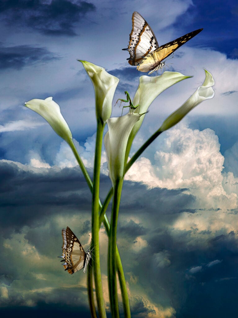 A Resting Place