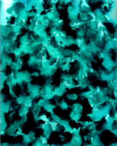 Sea Lettuce