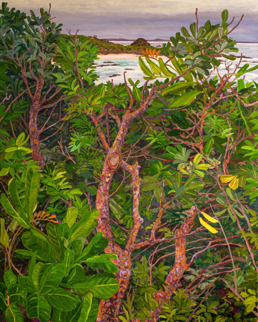 Over the Hedgerow