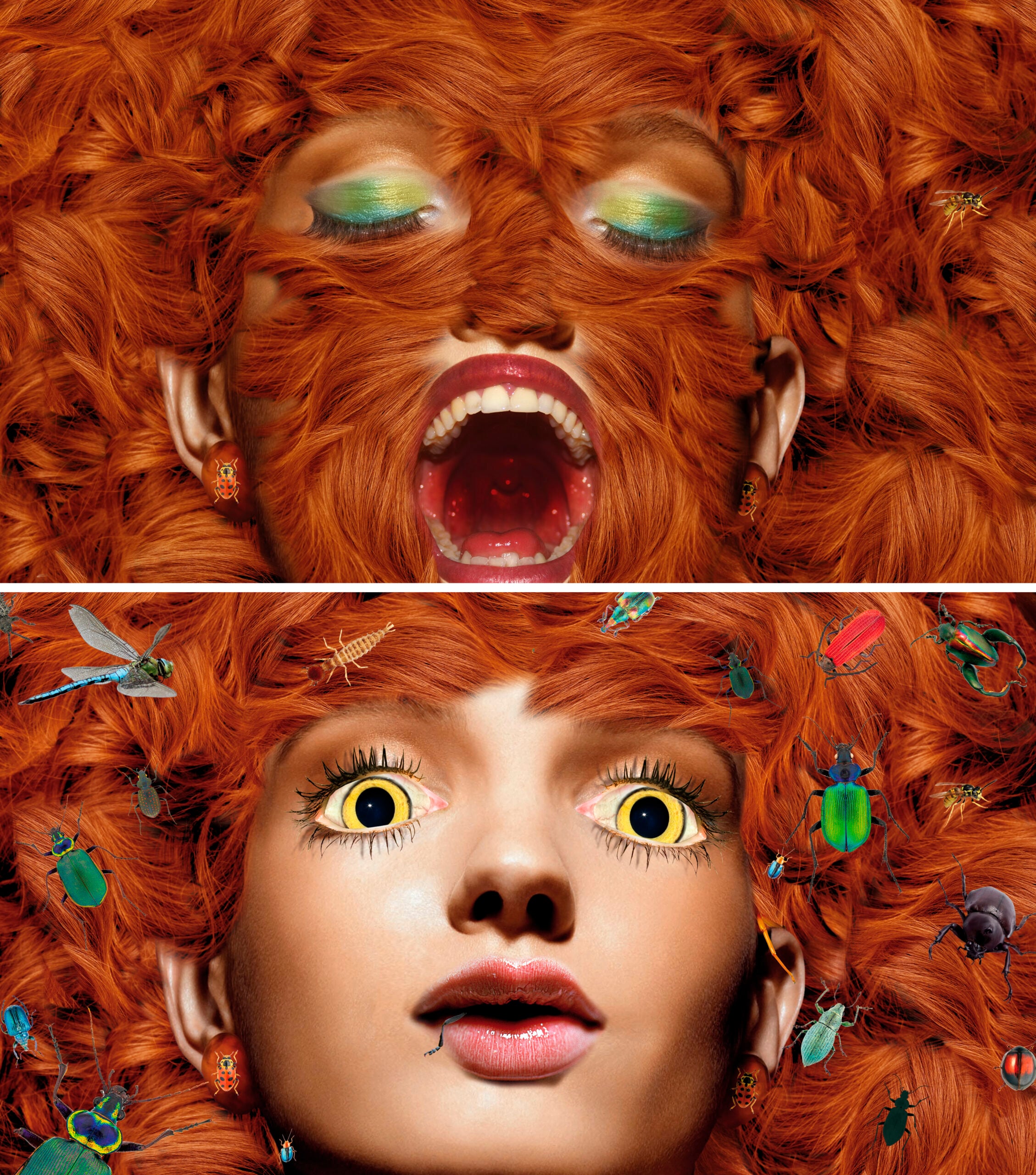 GROUP SHOW | The Beast In Me