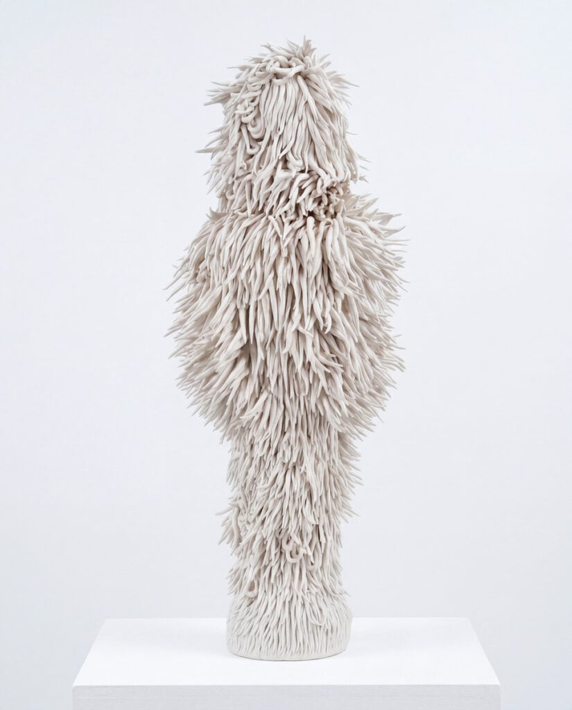 Hairy Mary