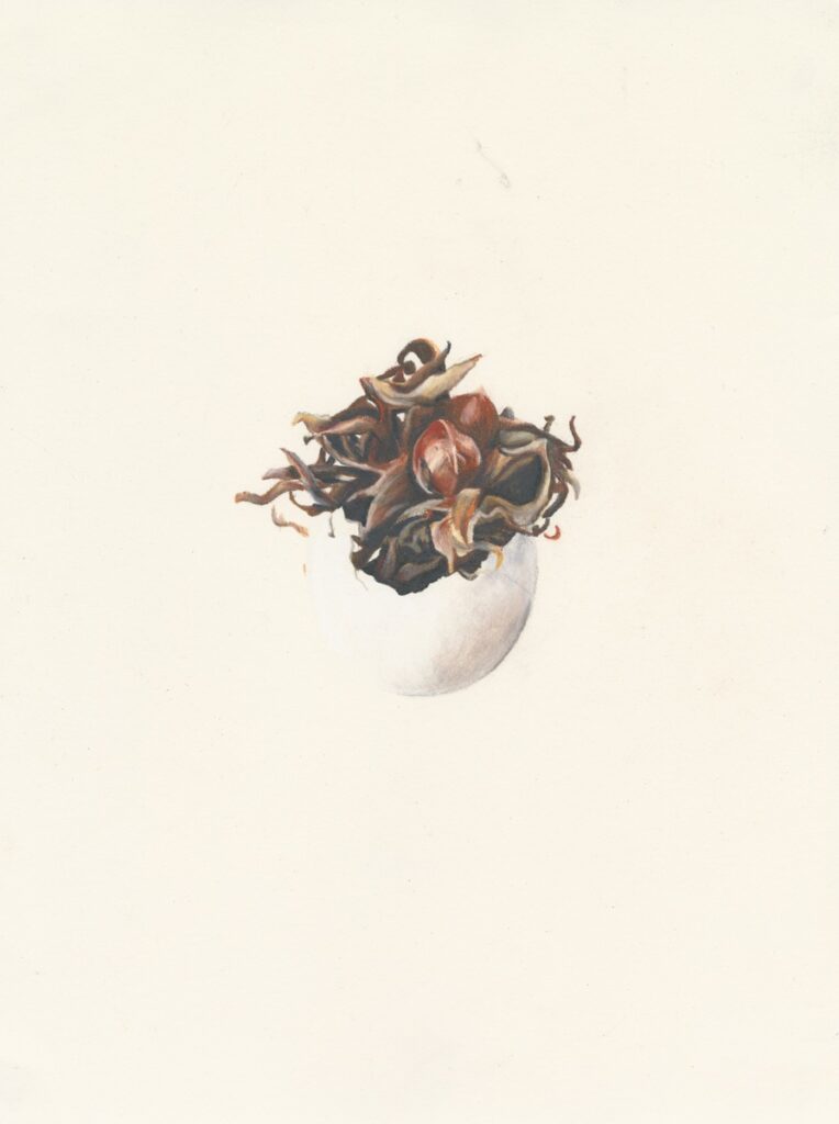 Hatchling
