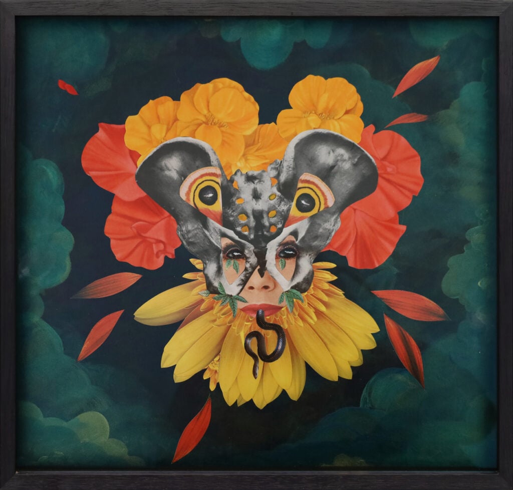 Claud Petals by Deborah Kelly