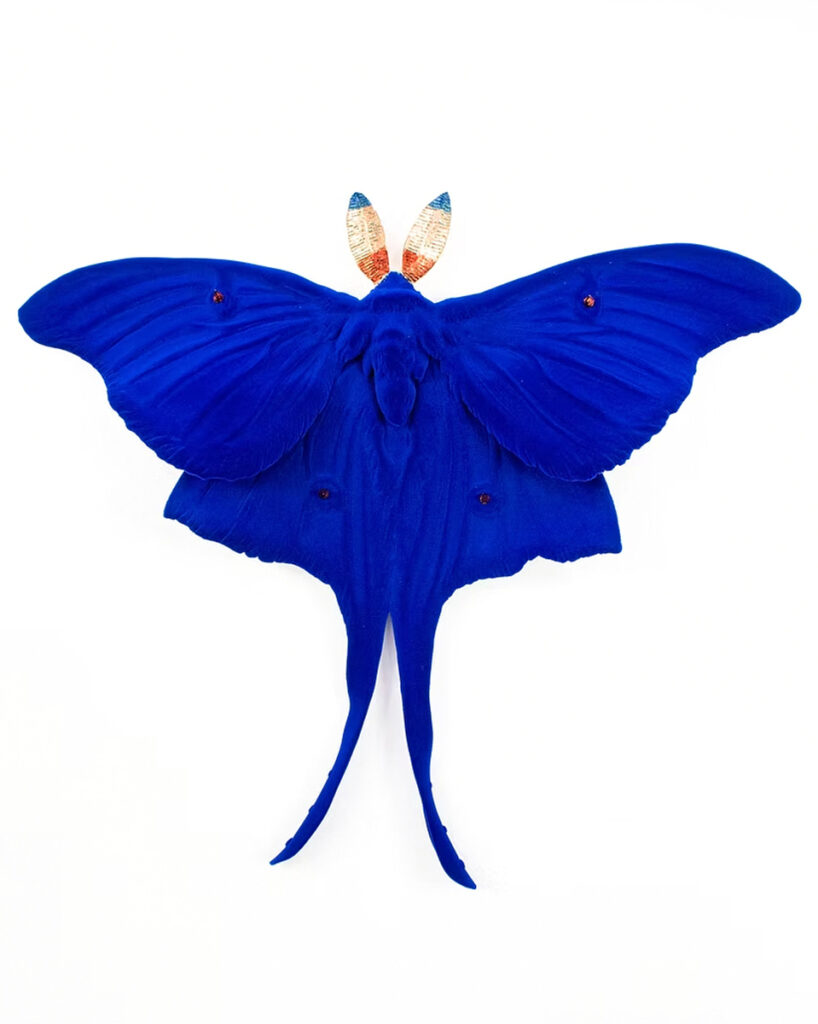 Moth (Blue)