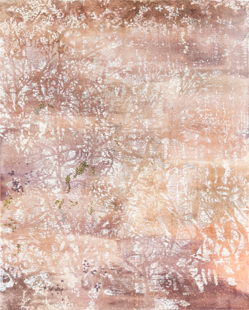 Lace Curtain by Jasmine Mowbray