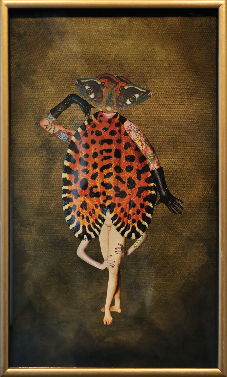 Venus As A Boy
