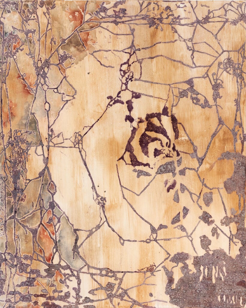 Desire Lines by Jasmine Mowbray