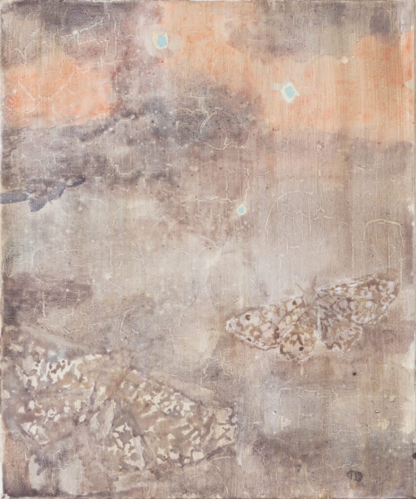 Moths at Degas’ Volcano
