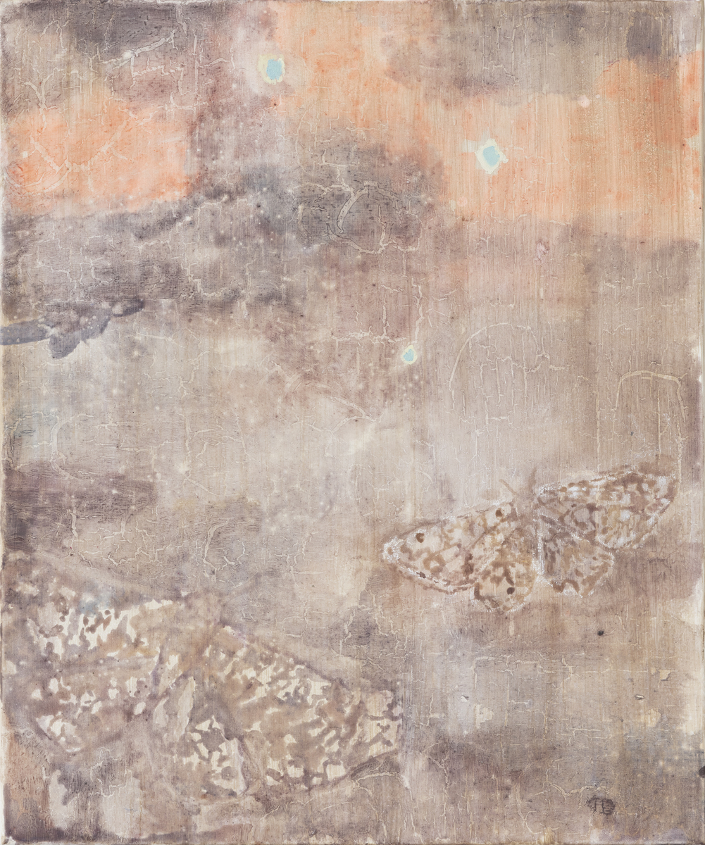 Moths at Degas’ Volcano