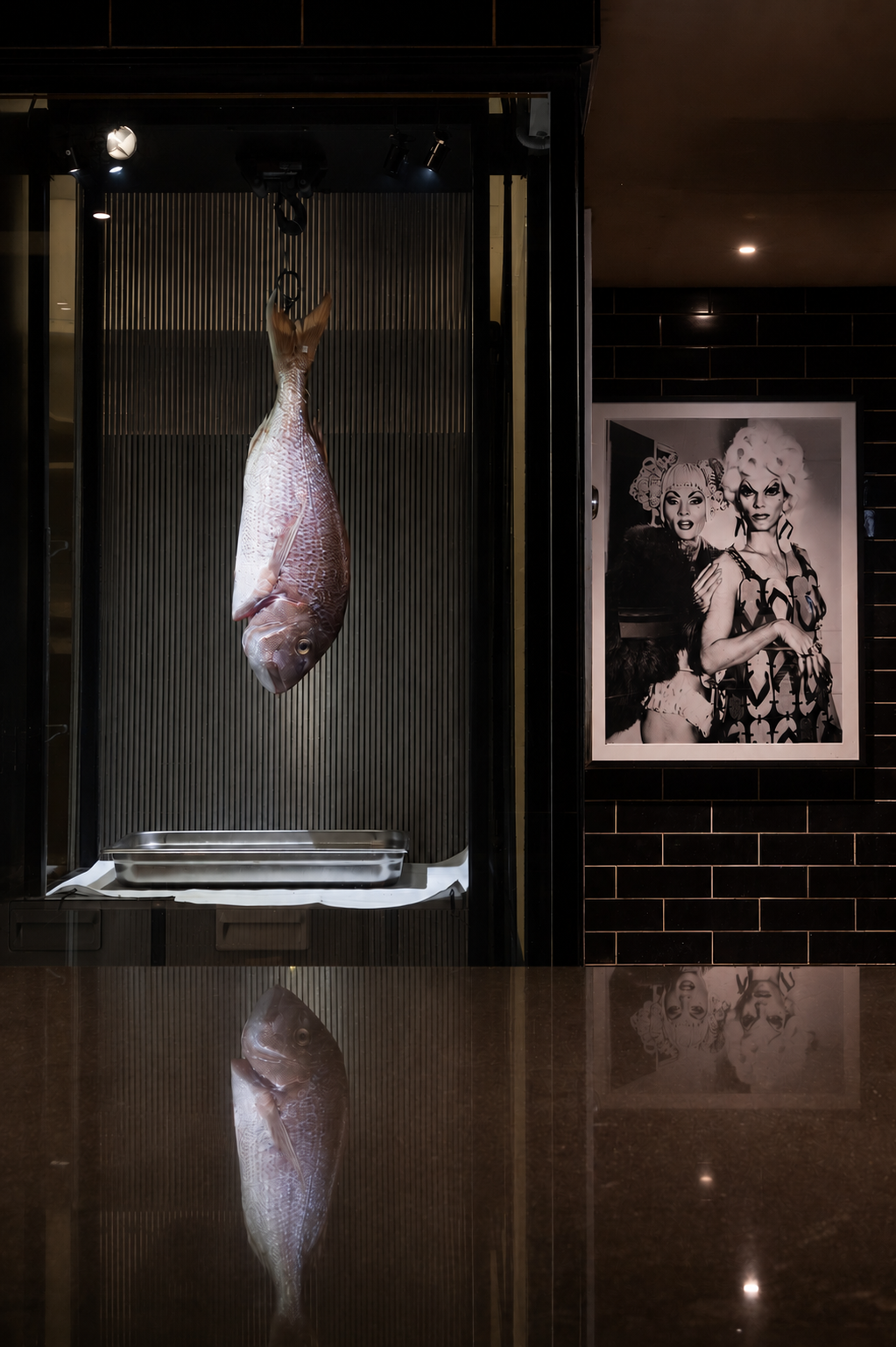 fish hanging in restaurant with black and white still photograph of priscilla queen of the desert