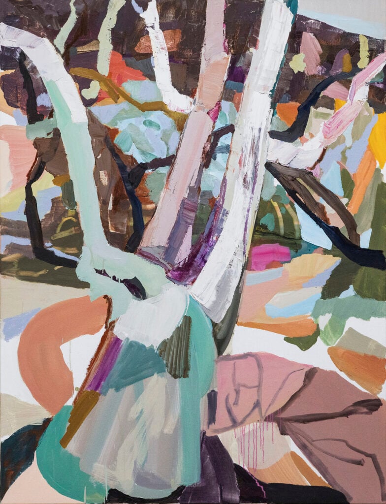 River Gum - Pilbara