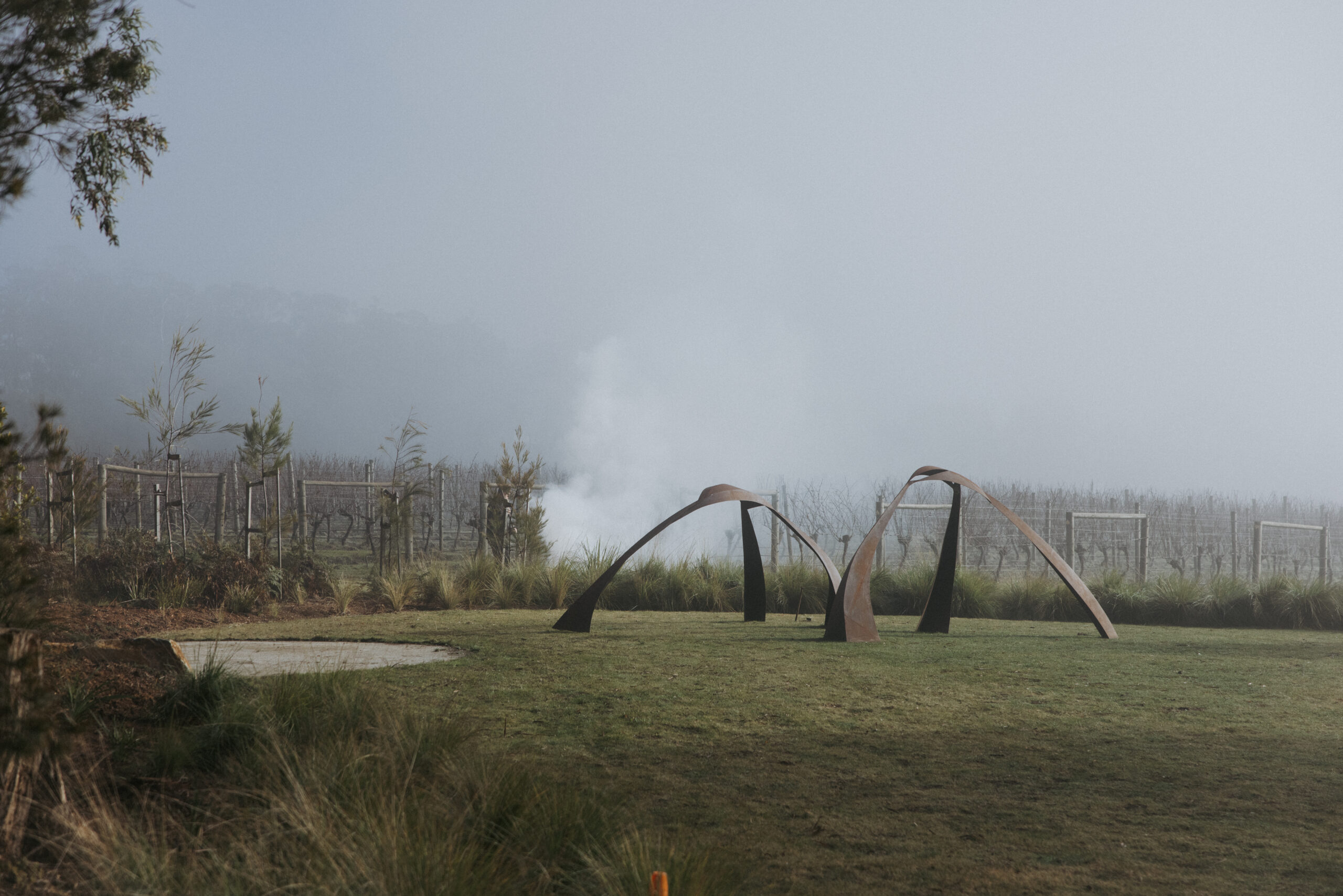 outdoor sculpture in Australian vineyard