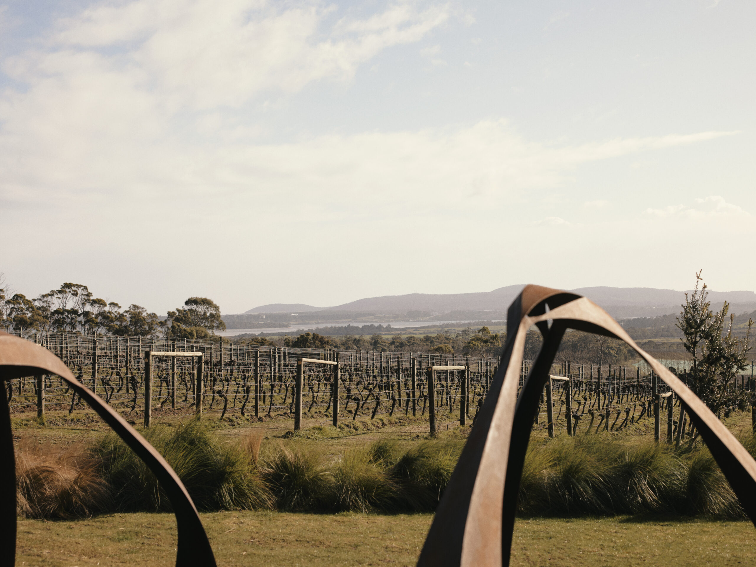 outdoor sculpture in Australian vineyard