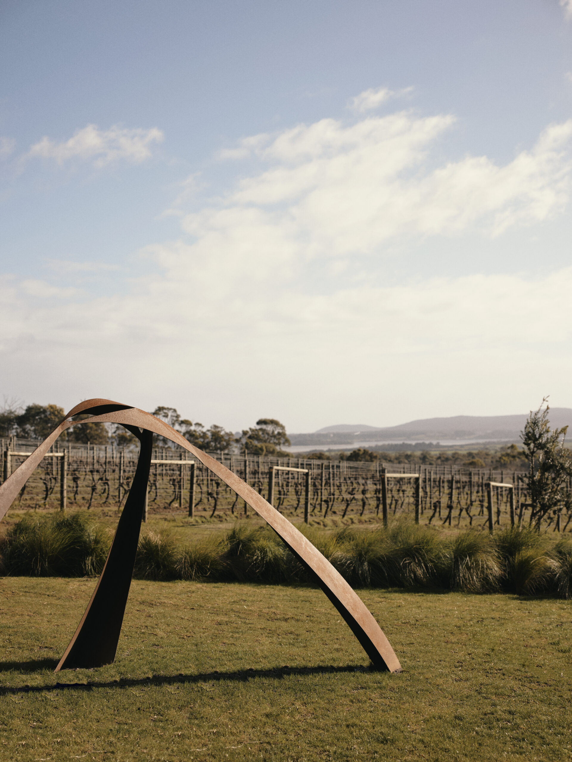 outdoor sculpture in Australian vineyard