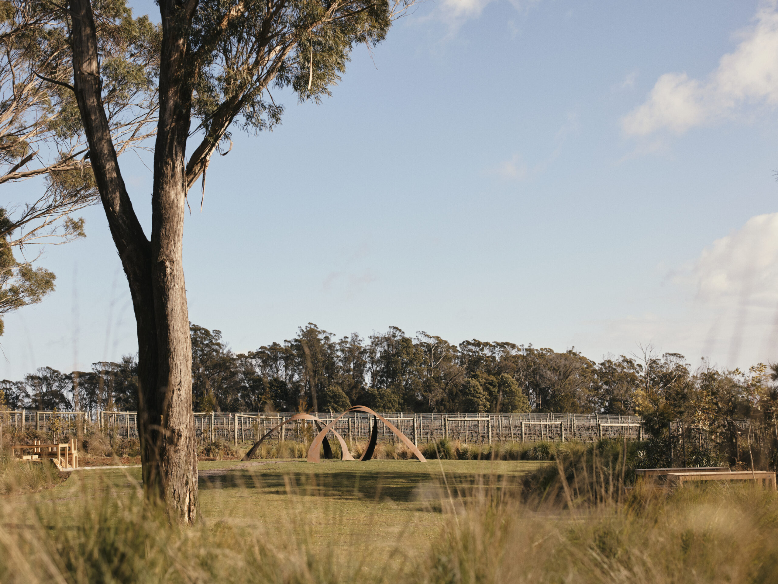 outdoor sculpture in Australian vineyard