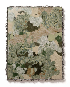 Lichen Patch