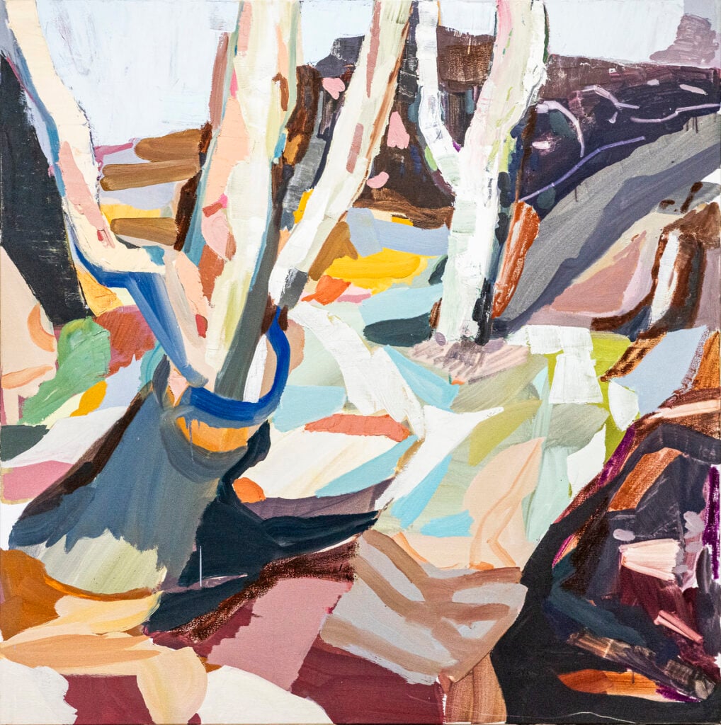Camp Trees and Rocky Pools - Melissa Boughey